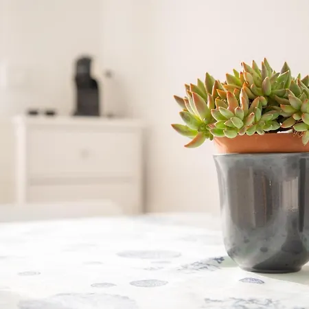 Cuore Di And Free Parking 公寓 *